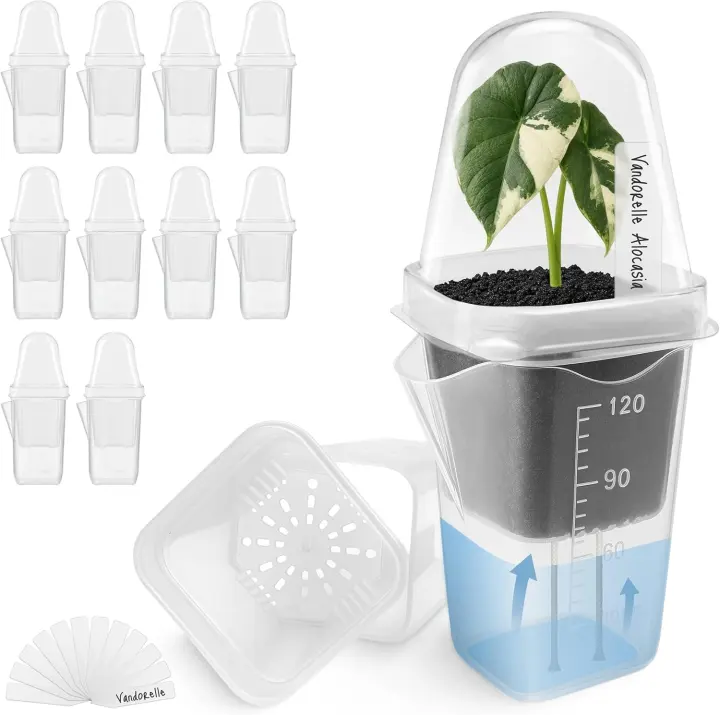 12-Pack 2" Self-Watering Mini Propagation Pots with Humidity Domes