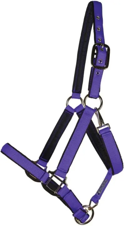 Dura-Tech Padded Double-Ply Nylon Horse Halter — Cob Size