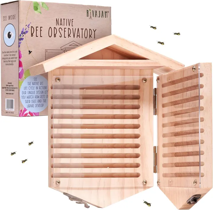 Mason Bee Observatory House with Viewing Panel